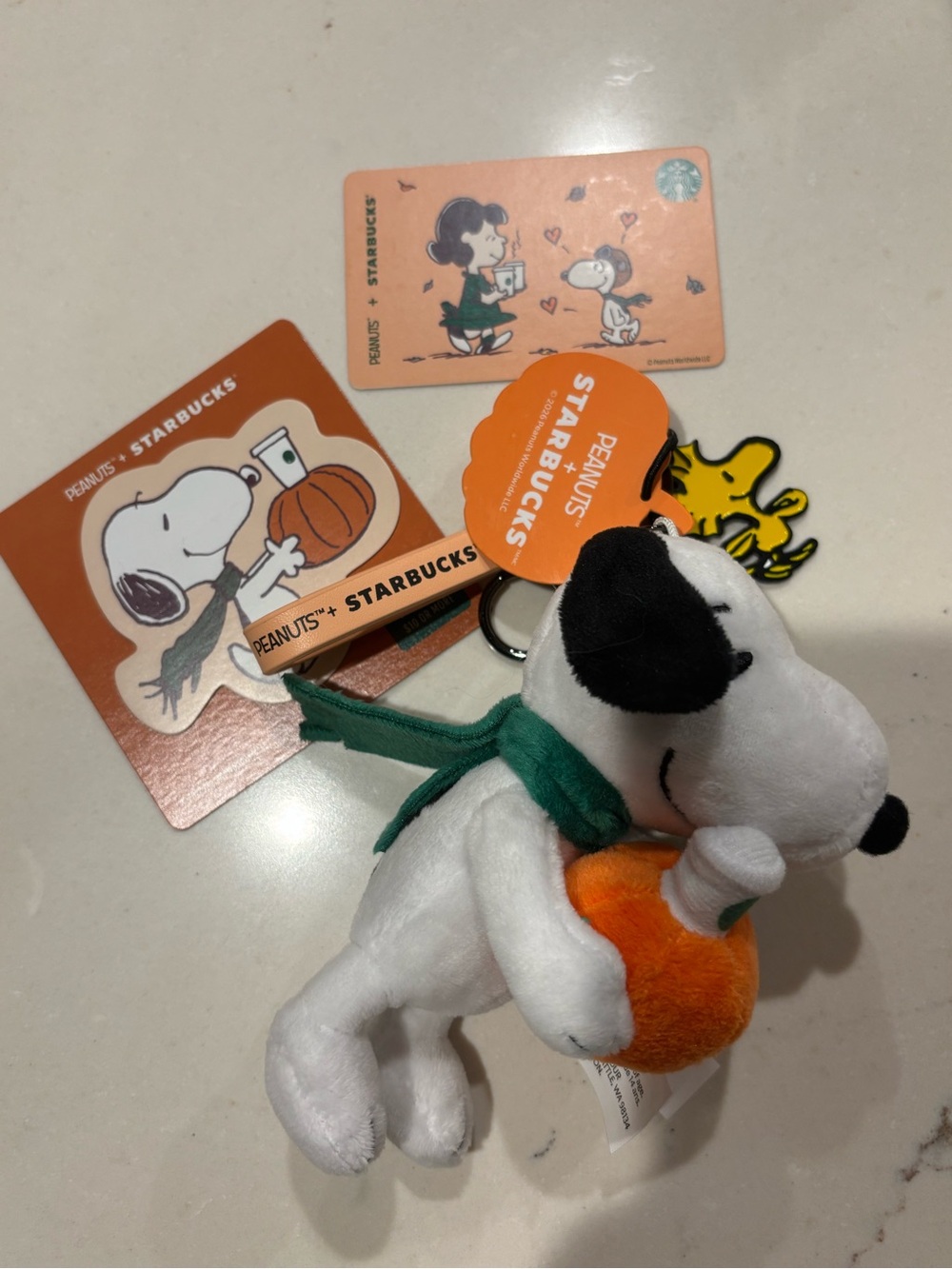 Starbucks x Peanuts Snoopy Pumpkin Plush Keychain & Collectible Gift Cards NWT